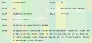 廣西和信高盛非融資性擔保有限公司防城港分公司 聚焦非融資性擔保，服務地方經濟