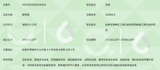 廣西中力融資性擔(dān)保 解析融資性擔(dān)保的運作模式與市場價值