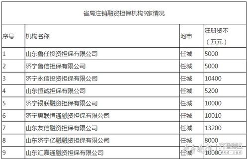濟寧9家融資擔(dān)保機構(gòu)退出市場，行業(yè)規(guī)范再升級