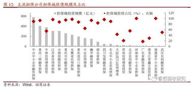 6號文紓民企出新招，堵城投斬擔保——融資性擔保機構角色再思考